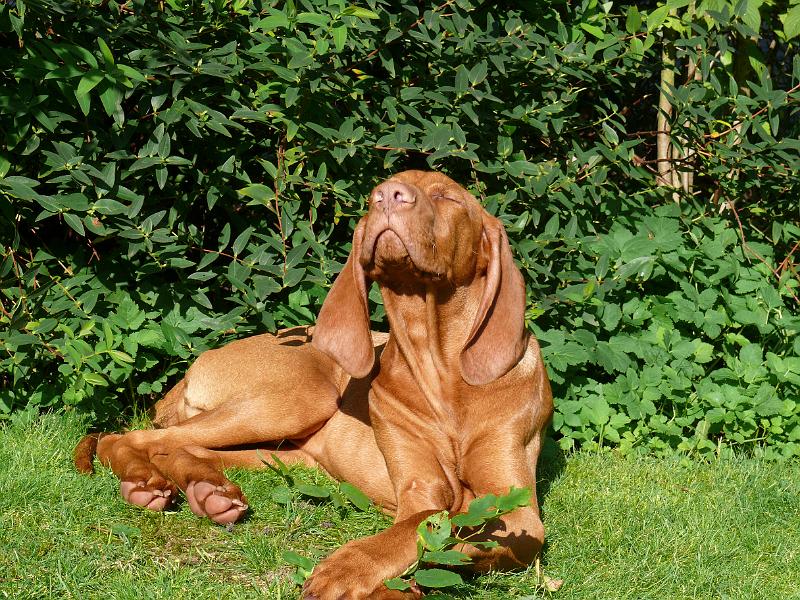 P1020644.JPG - die Sonne ist toll