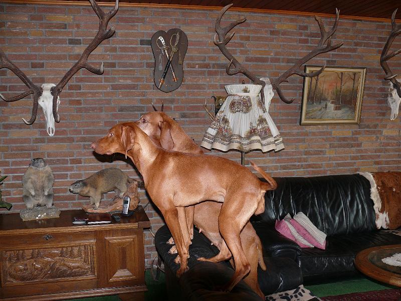 P1030764.JPG