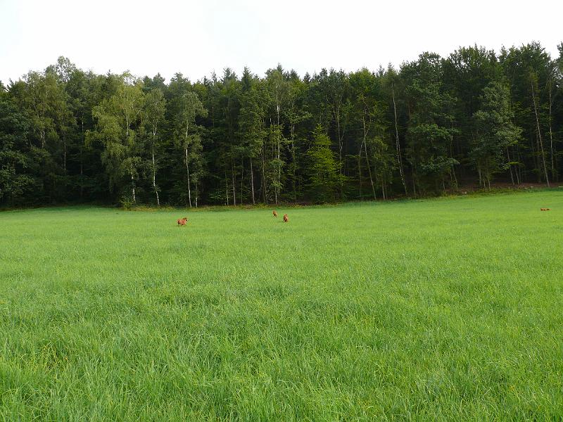 P1030817.JPG