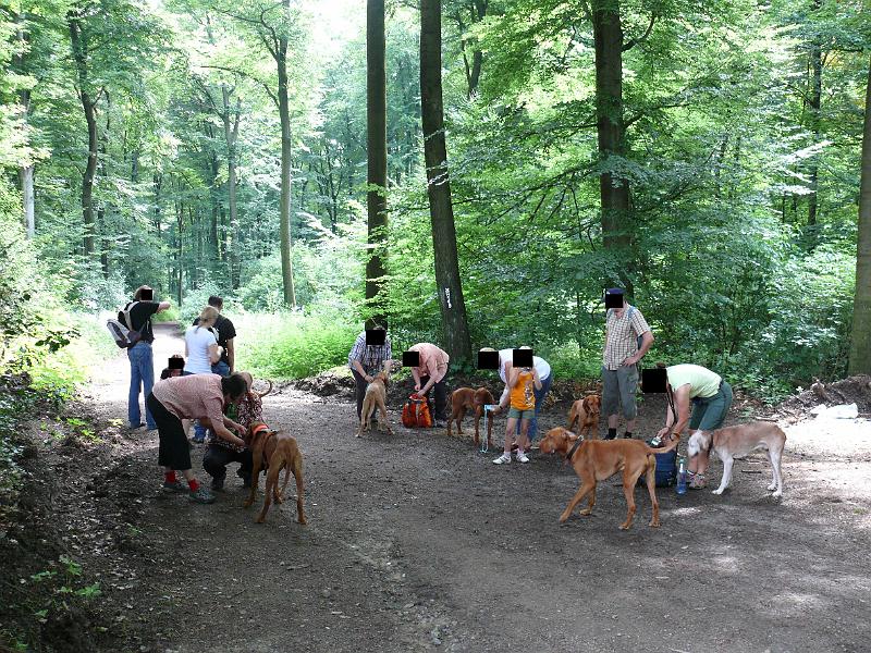 P1030483.JPG